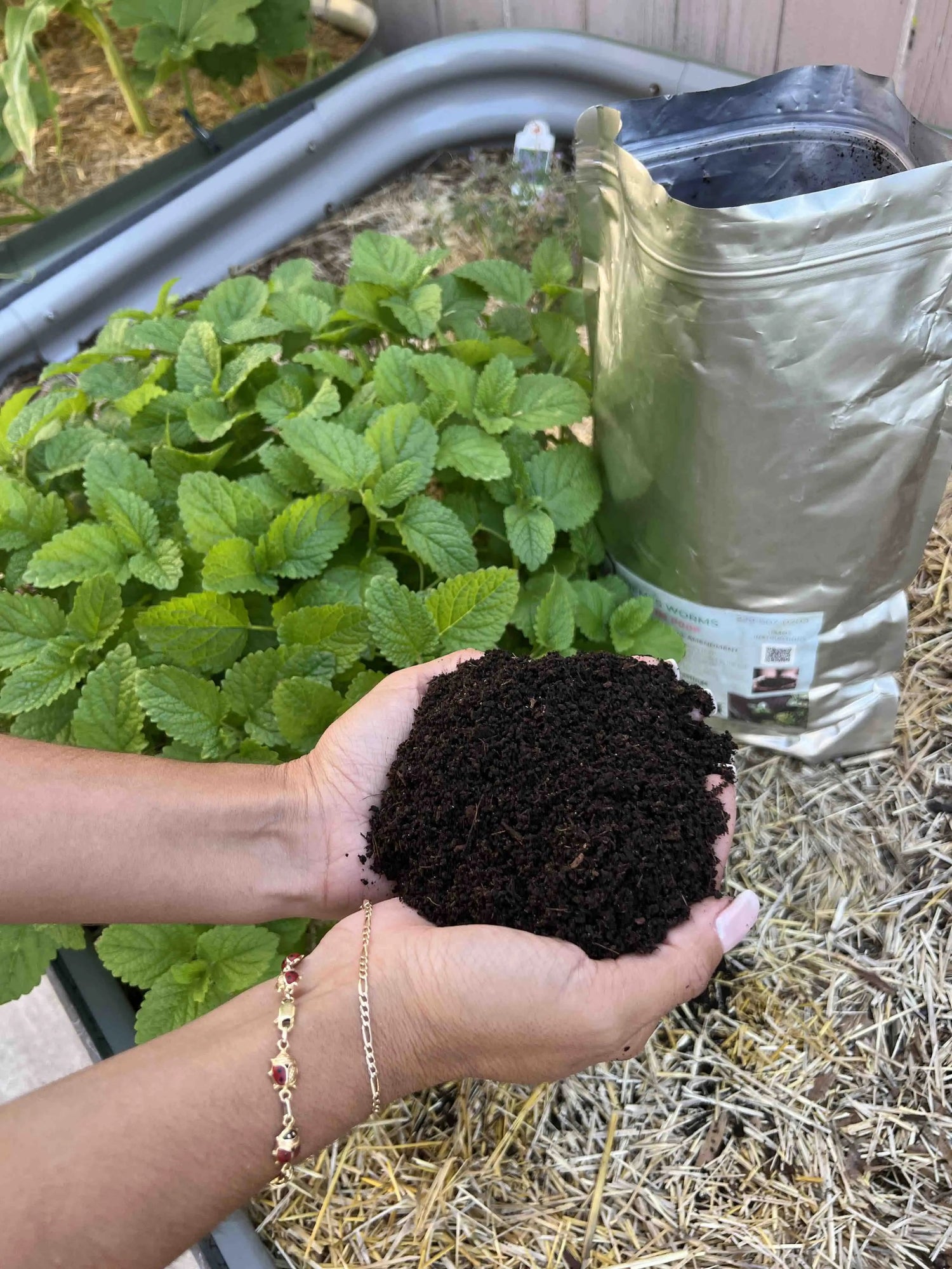 Worm Castings vs. Compost: Unveiling the Garden's Best-Kept Secrets