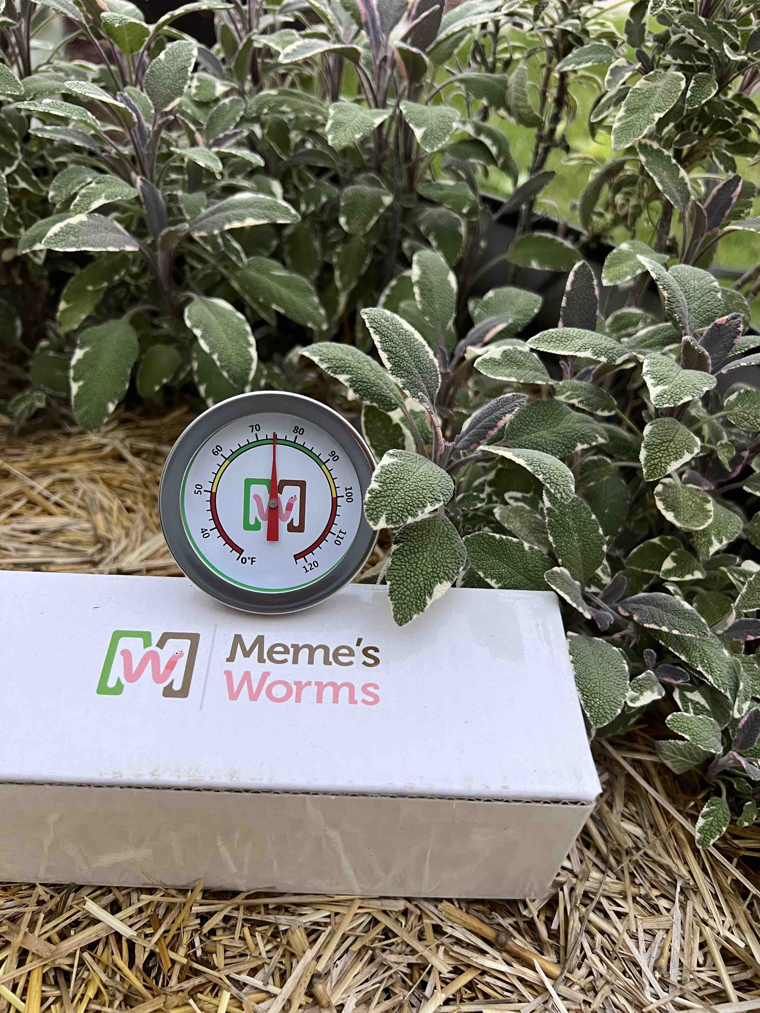 Meme's Worm Thermometer Meme's Worms