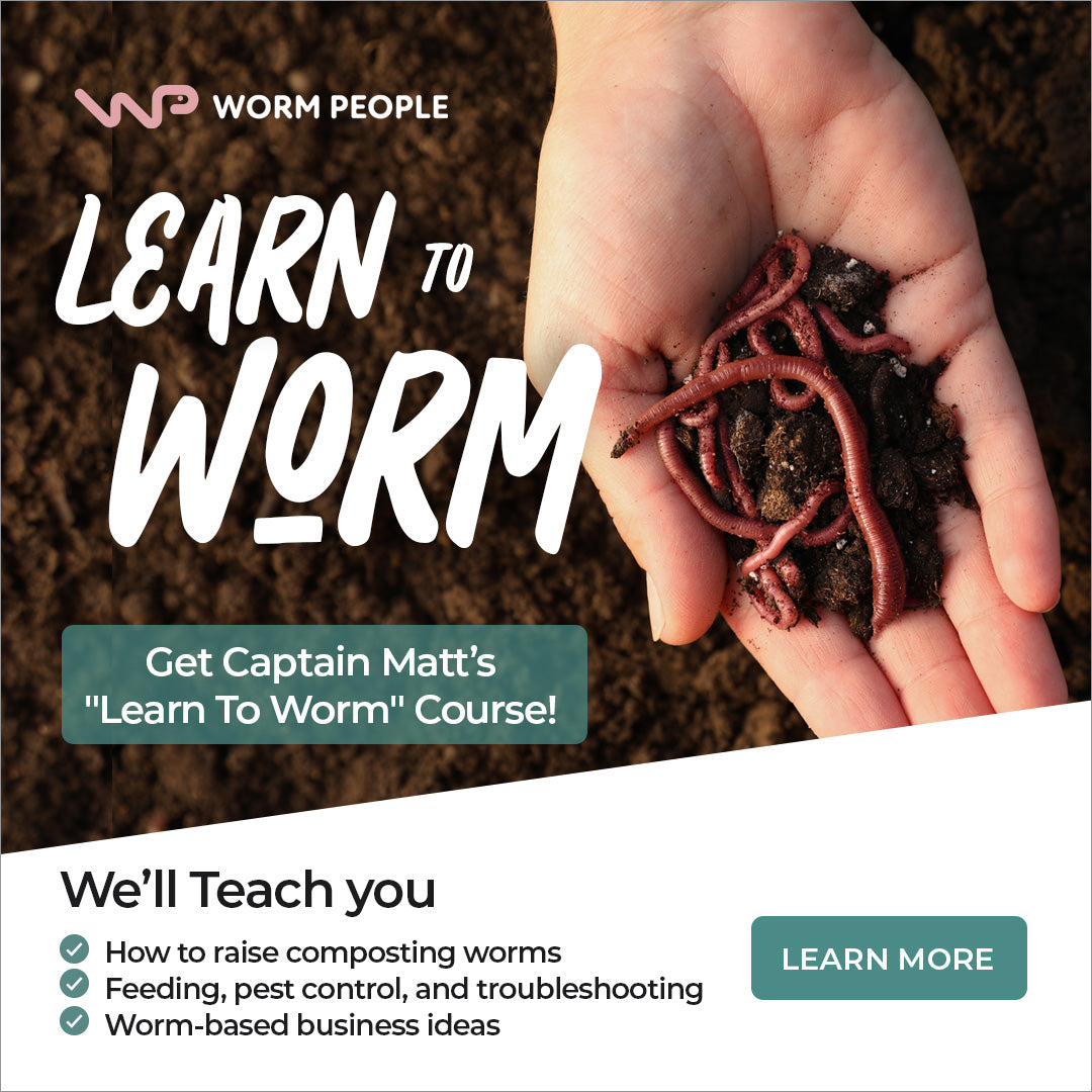 Learn to Worm Meme's Worms
