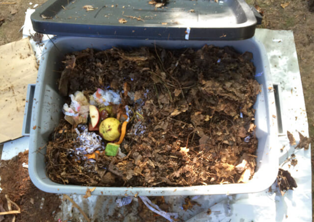 Pests in your worm bin: The good and the ugly Meme's Worms