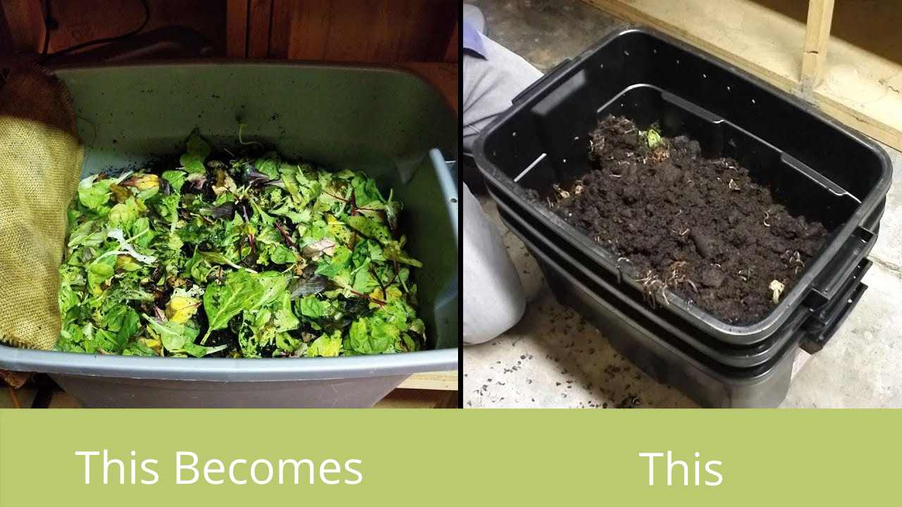DIY Worm Bins, easy and inexpensive. Start Your Vermicomposting Adventure Today! Meme's Worms