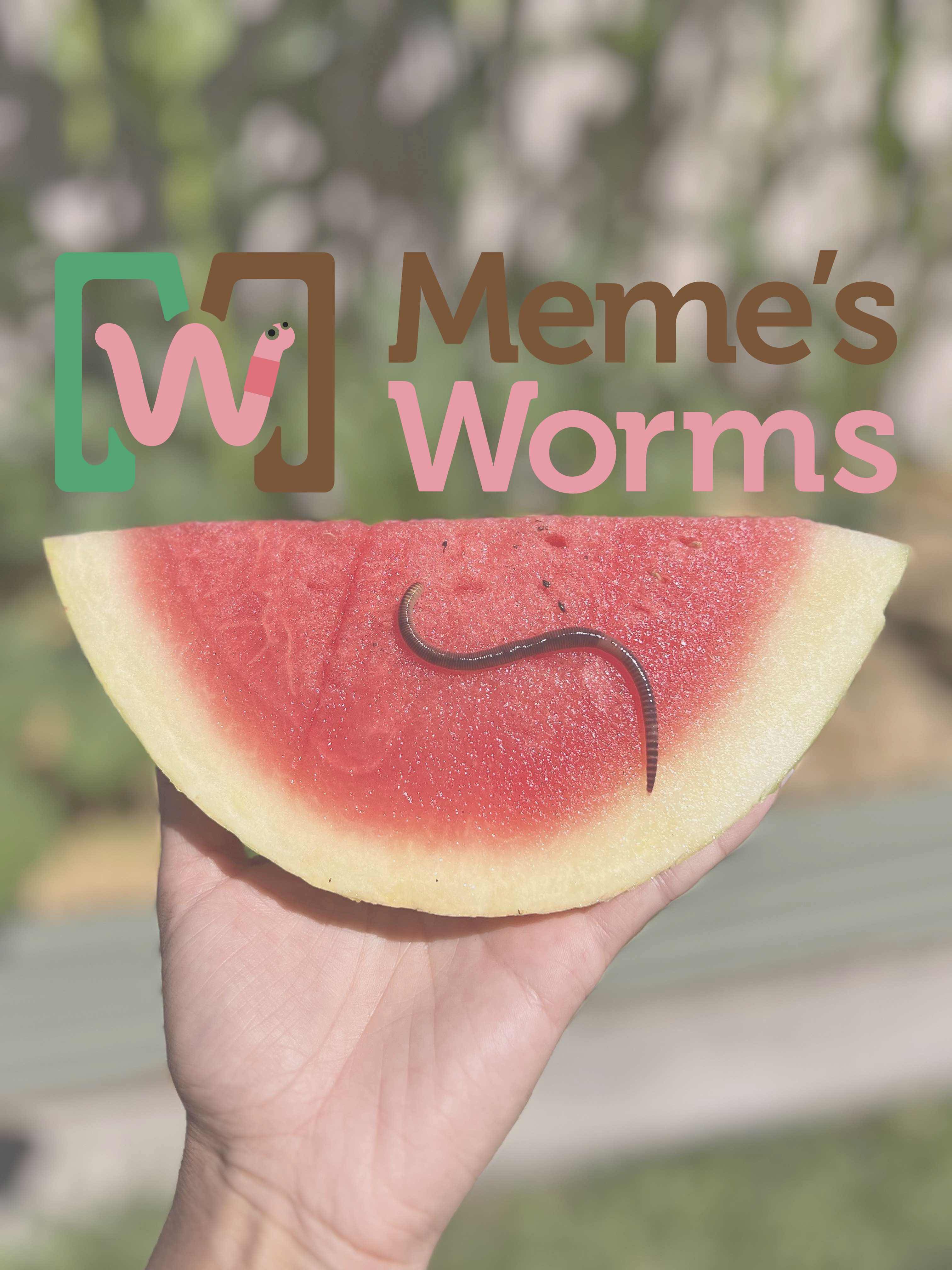 Meme's Worms Gift Card Meme's Worms