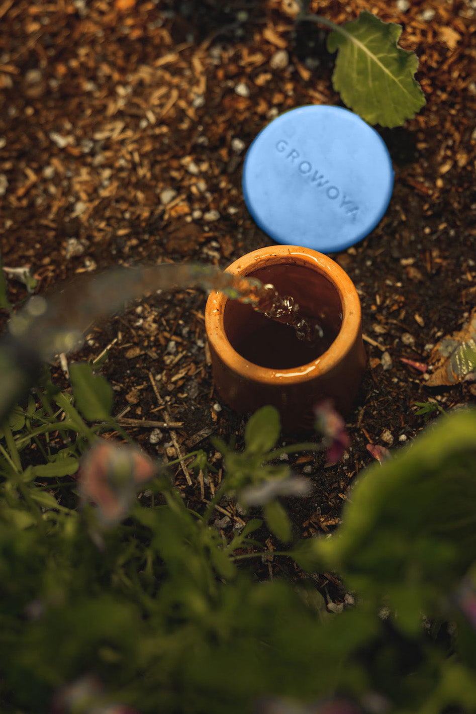 Garden Oya™ Watering Pot (SC) GrowOya